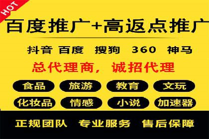 提升转化率：SEM广告投放的实战案例分享